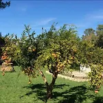 Yiouli Holiday Home